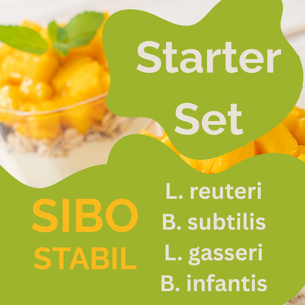 入門套裝「SIBO 穩定」| L. reuteri, B. subtilis, L. gasseri, B. infantis 優格